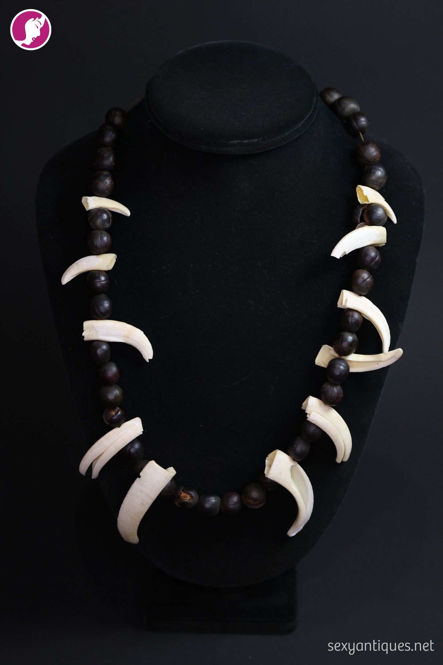 Vintage Boar Tusk and Natural Seed Pod Necklace