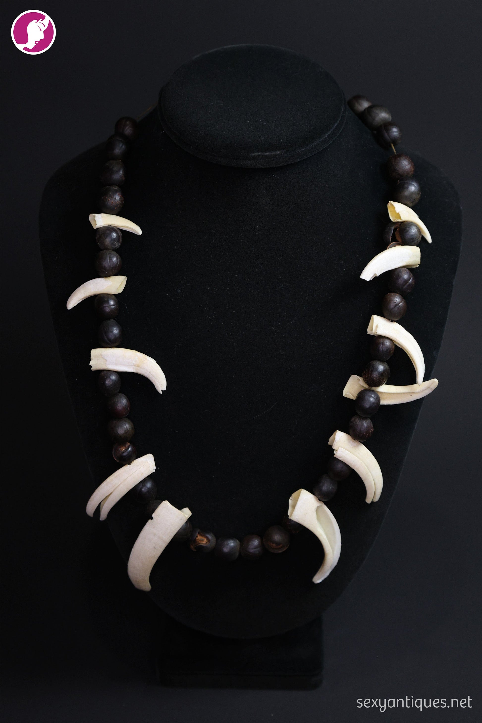Vintage boar tusk and seed pod necklace product shot, full length on neutral background