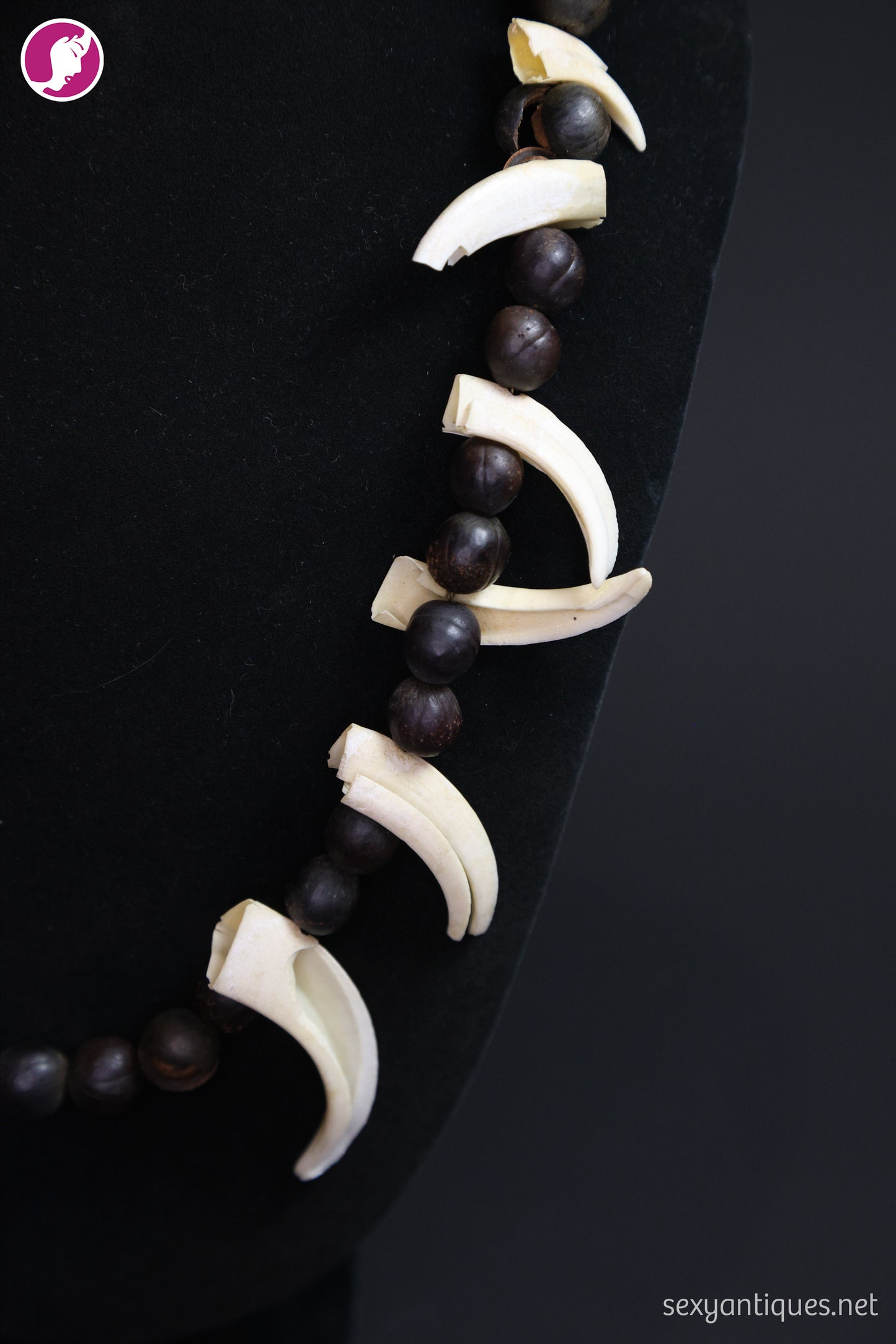 Vintage Boar Tusk and Natural Seed Pod Necklace