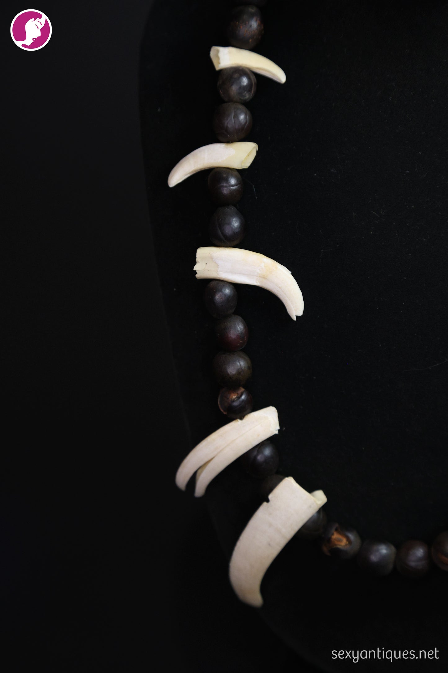 Vintage Boar Tusk and Natural Seed Pod Necklace