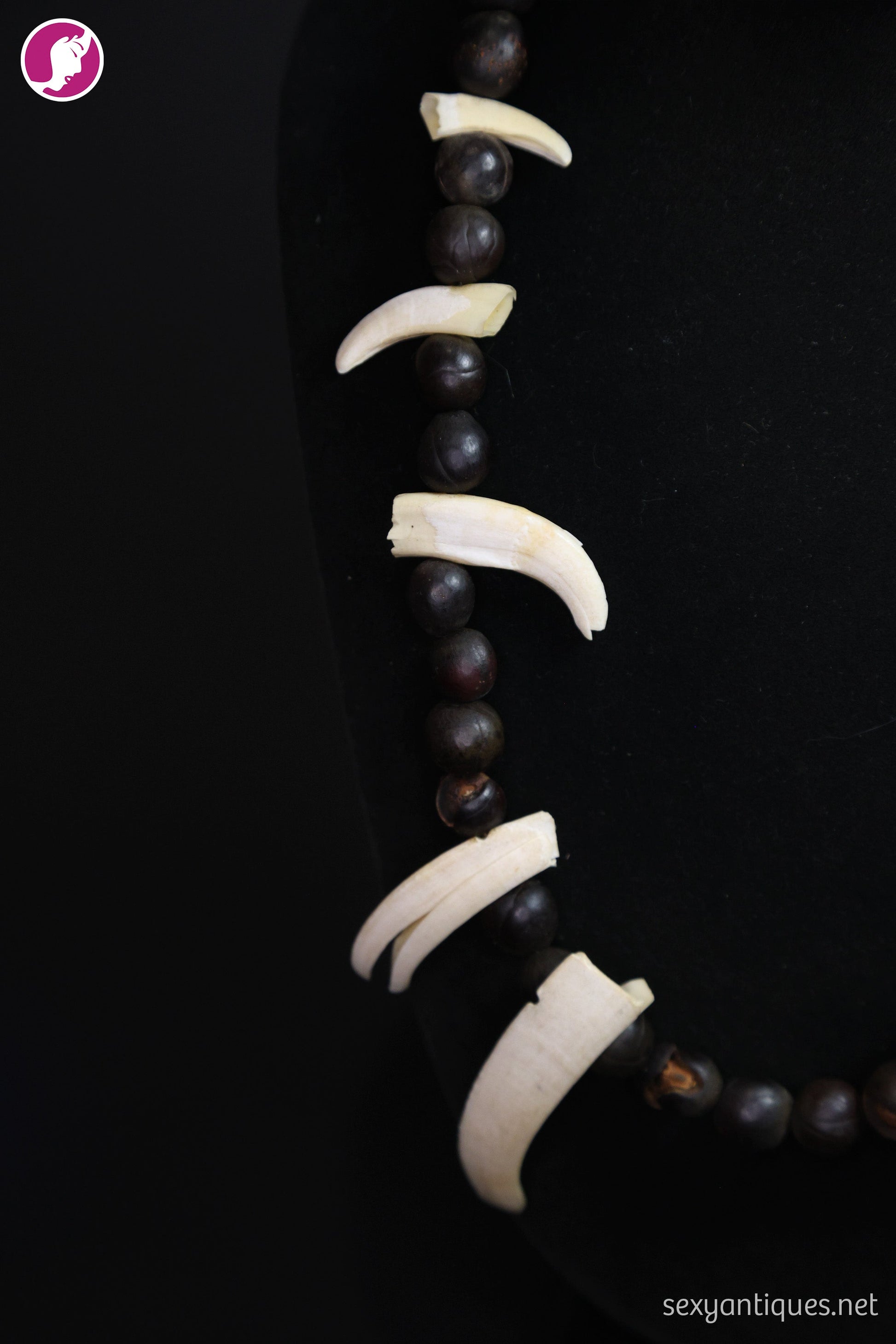 Detail shot of knotted closure and natural seed pods on vintage tribal boar tusk necklace
