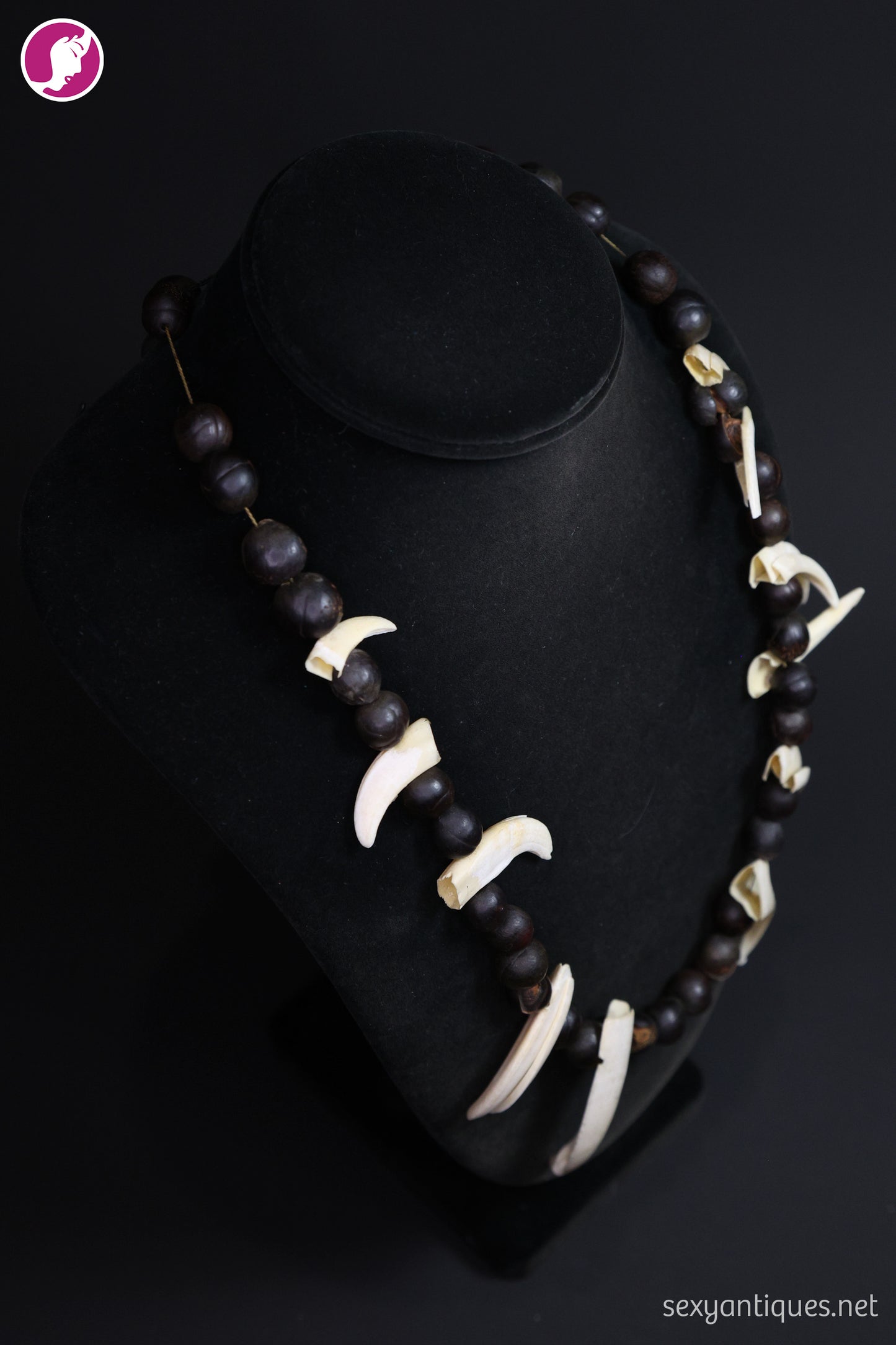 Vintage Boar Tusk and Natural Seed Pod Necklace