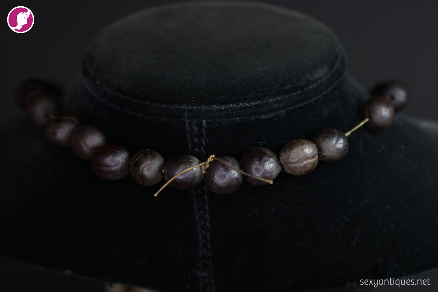 Vintage Boar Tusk and Natural Seed Pod Necklace