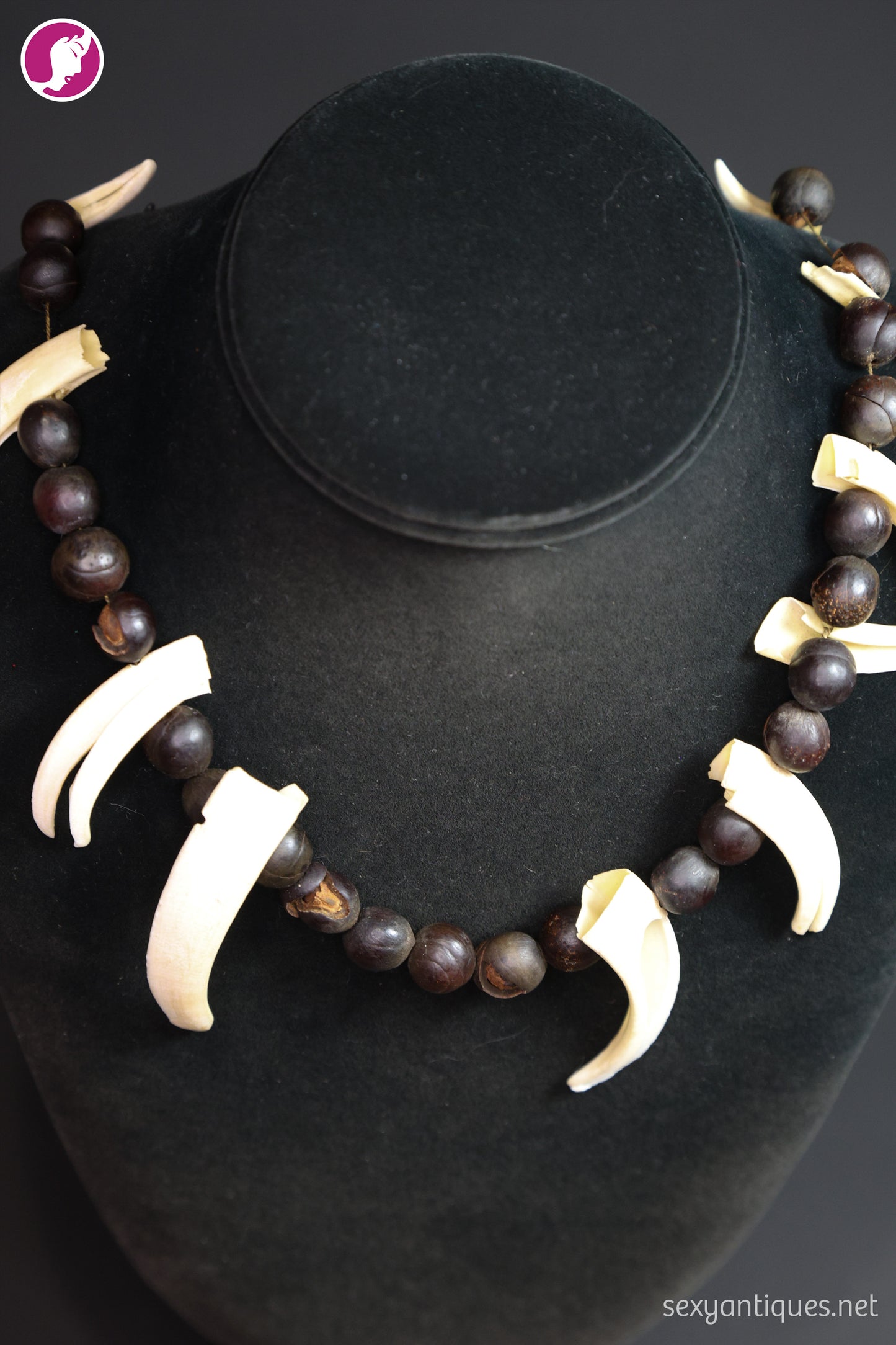 Vintage Boar Tusk and Natural Seed Pod Necklace