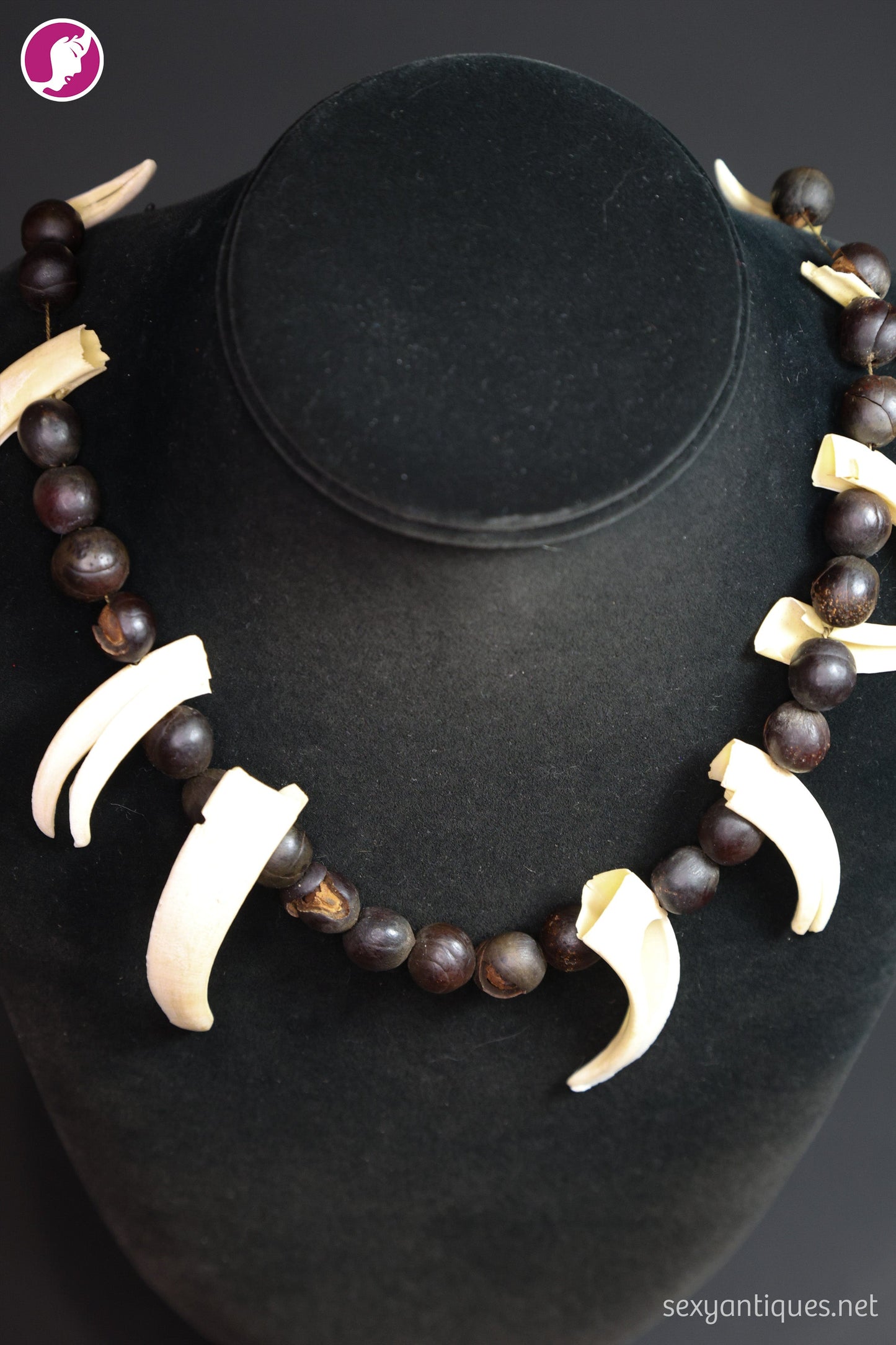 Vintage primitive necklace with twelve boar tusks and tropical seed pods, original string intact