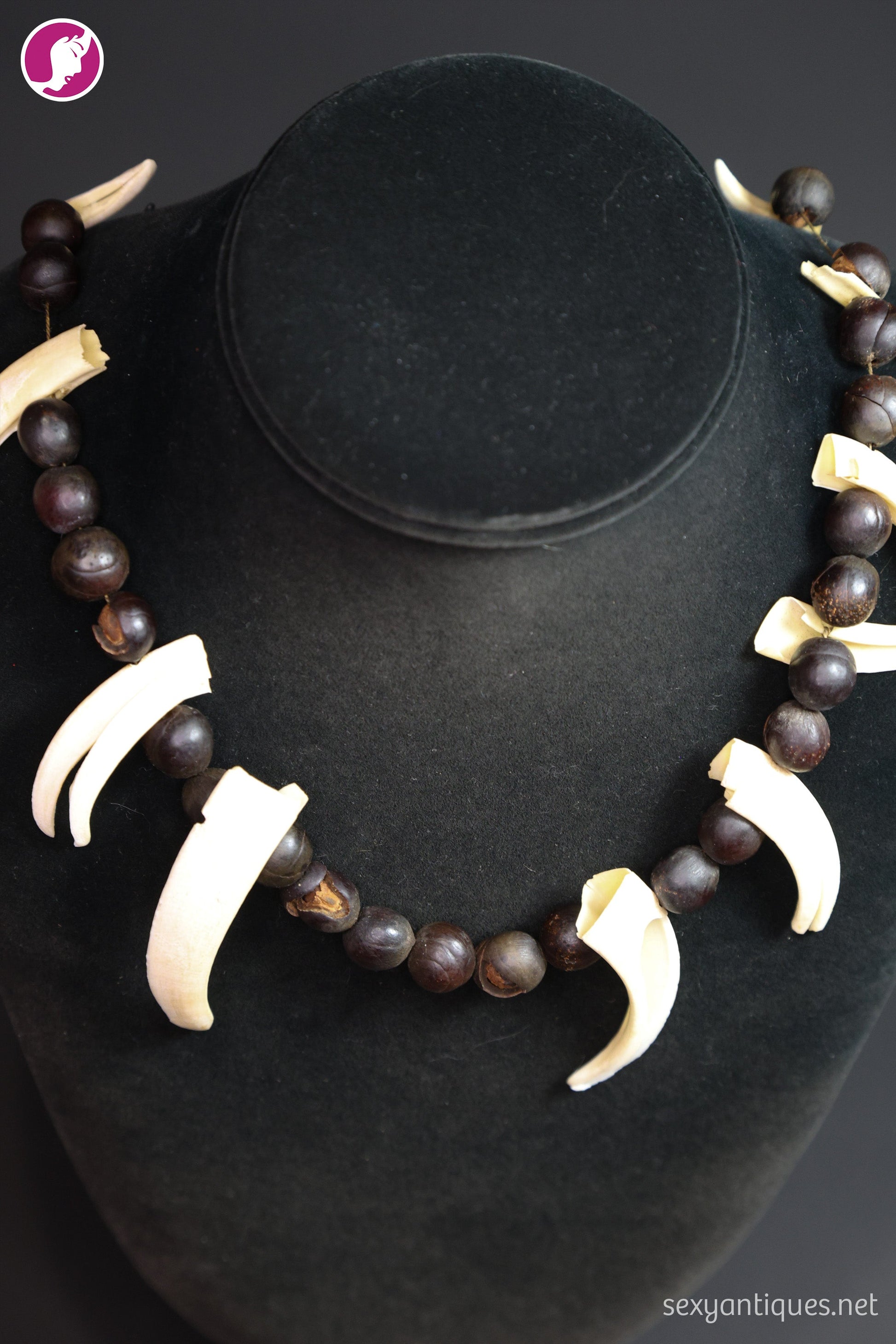 Vintage primitive necklace with twelve boar tusks and tropical seed pods, original string intact